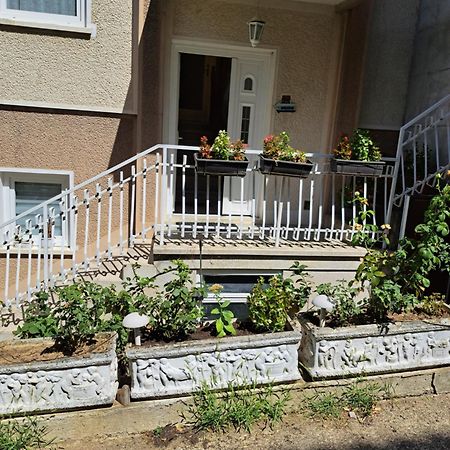 Apartment Gajic Belgrado Exterior foto